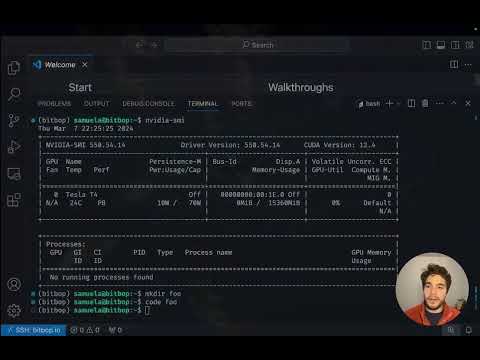 Demo video
