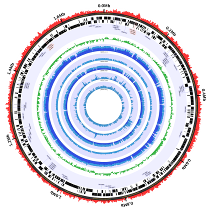 Sample Circleator image