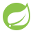 Spring-boot
