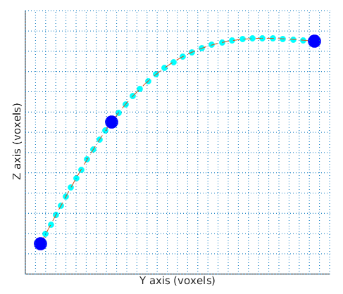 PolyLine ROI spline