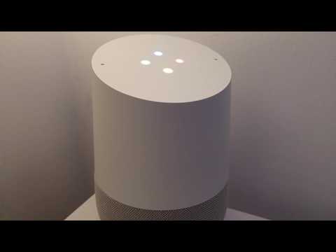 Testing Voice Assistant Webhook