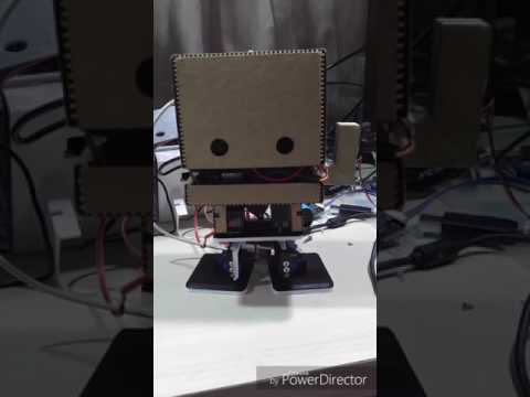 TJBot with legs