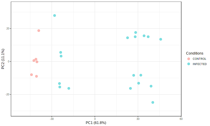 PCA Plot