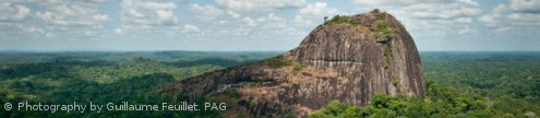 Inselberg in Guiana Amazonian Park