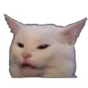 confused_cat emote