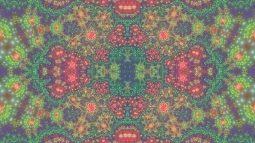 Psychedelic Fractal Test