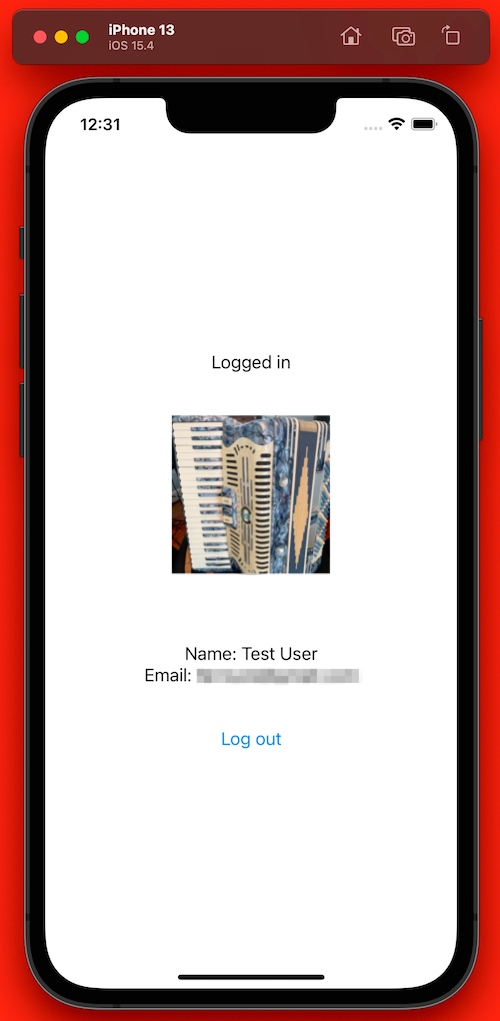 Demo app’s “Logged in” screen.