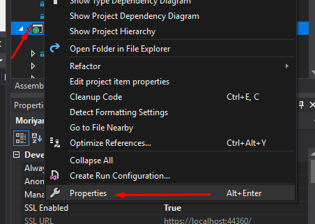 Web Project Properties