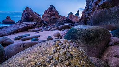 https://cn.bing.com/th?id=OHR.Limpets_ZH-CN4991771513&w=384&h=216