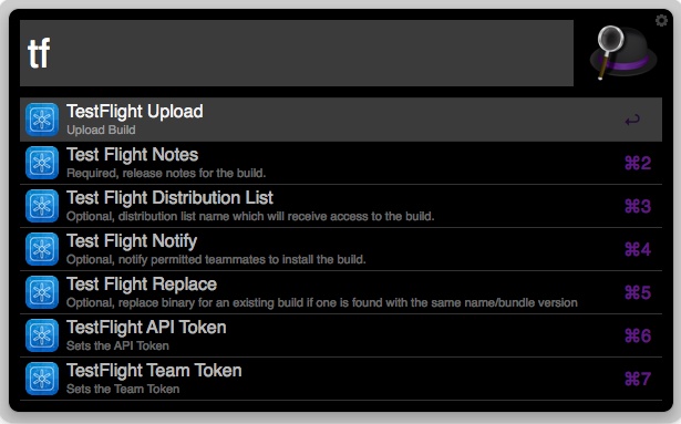 Test Flight Workflow Options