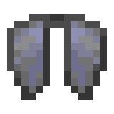 elytra