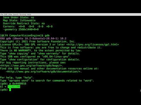 QueryingWindowResourceID
