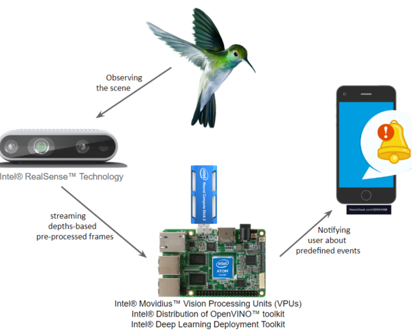 AI bird watcher Intel 