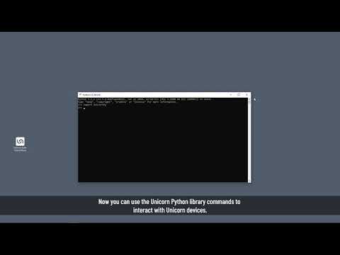 Unicorn Hybrid Black Tutorial: Python API