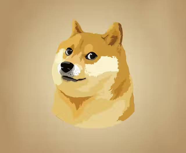 Doge