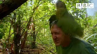 Shagged by a rare parrot - Last Chance To See - BBC Two