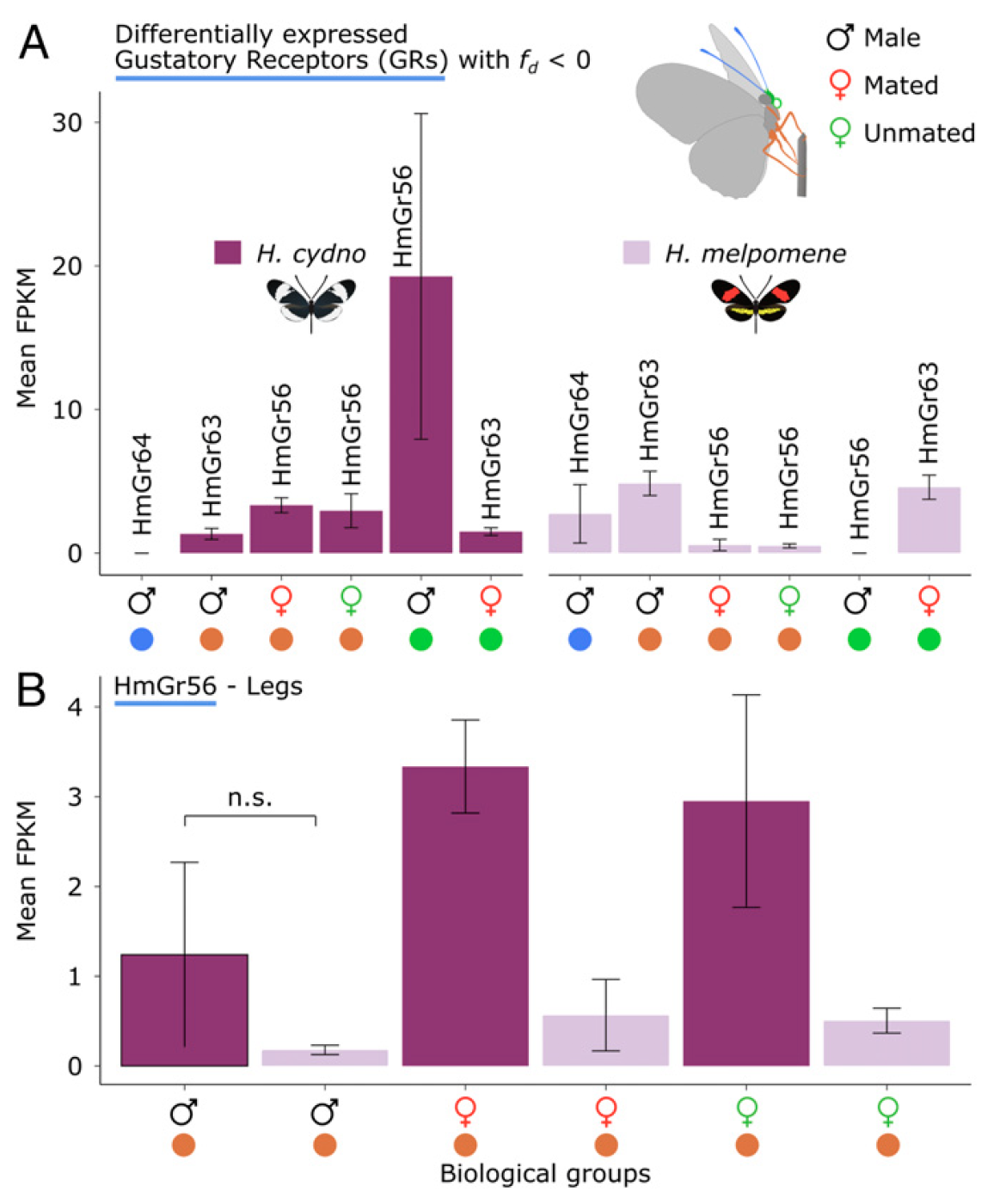 Expression levels for GRs of interest