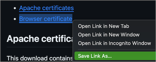 The same two links from the previous image. Context menu is shown with the option to "Save Link As" highlighted.