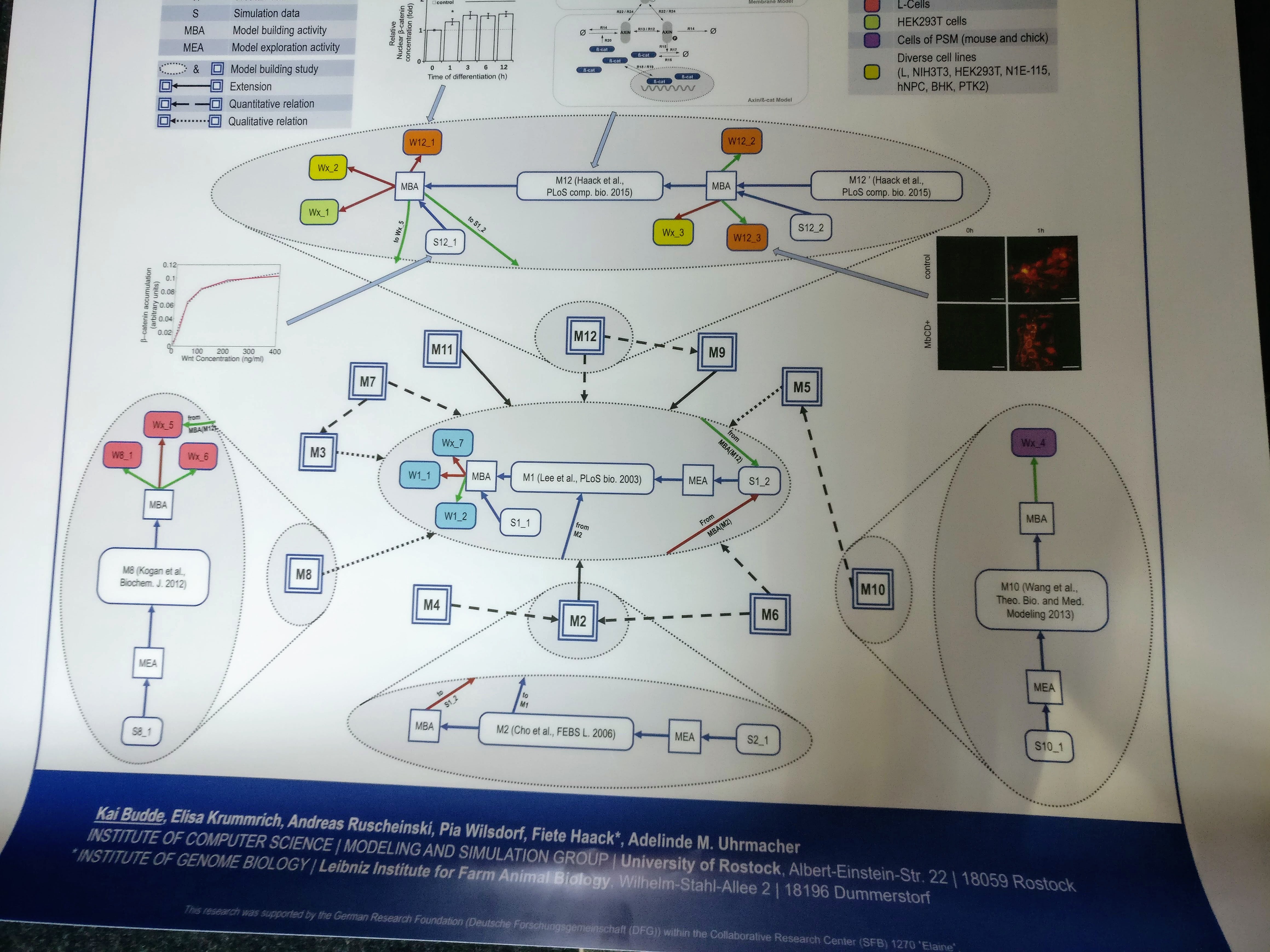 Provenance Graph