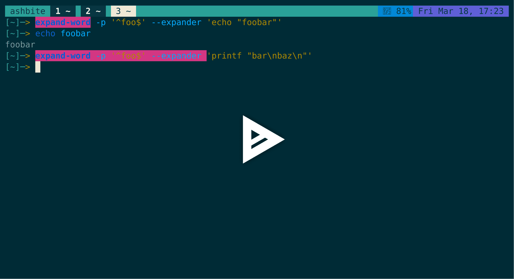 asciicast