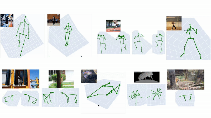 GitHub - mosamdabhi/3dlfm: Official codebase for 3D-LFM paper. Accepted ...