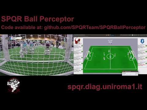 SPQR Ball Perceptor