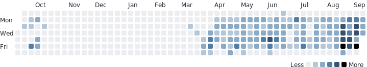 Coding activity