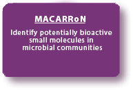 macarron.png