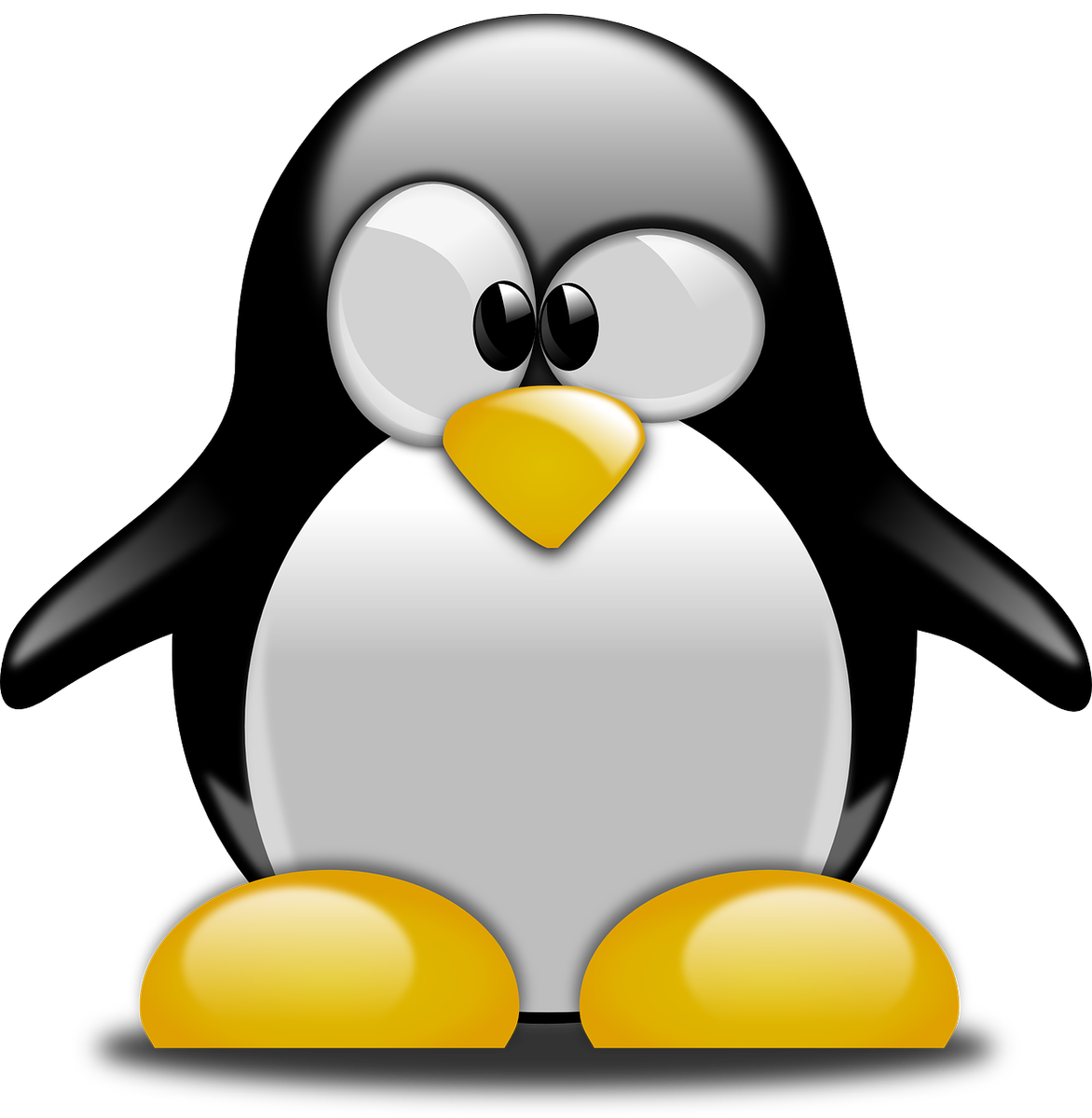 Linux