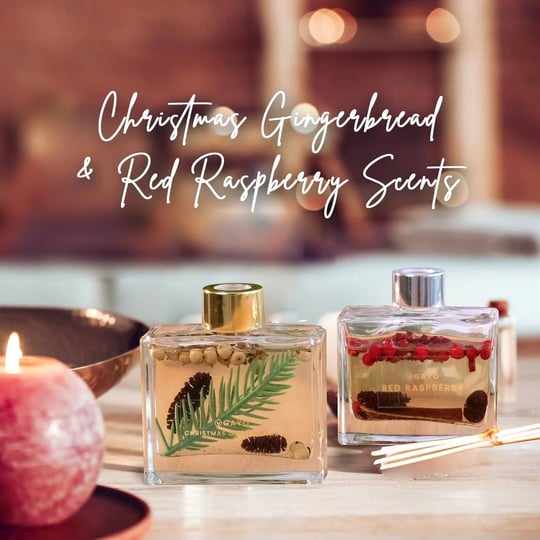 gayo-reed-diffuser-set-of-2-holiday-scents-made-with-natural-extracts-free-from-alcohol-parabens-hom-1