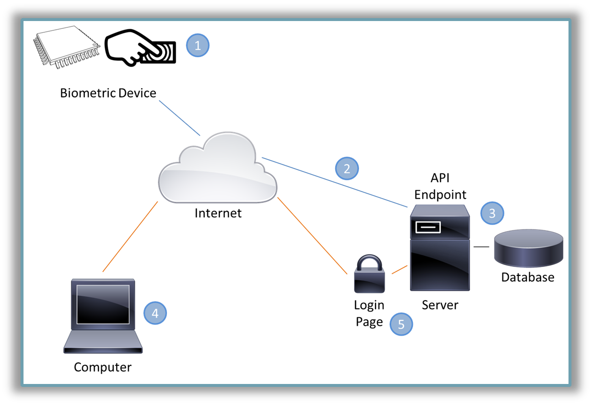 Multi-factor Biometric Authentication