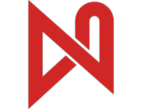 Nzym Logo