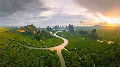 Mangrove forest in Phang Nga Bay, Andaman Sea, Thailand (© Ratnakorn Piyasirisorost/Getty Images)