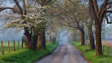Sparks Lane in Cades Cove, Great Smoky Mountains National Park, Tennessee (© Richard Bernabe/Shutterstock)