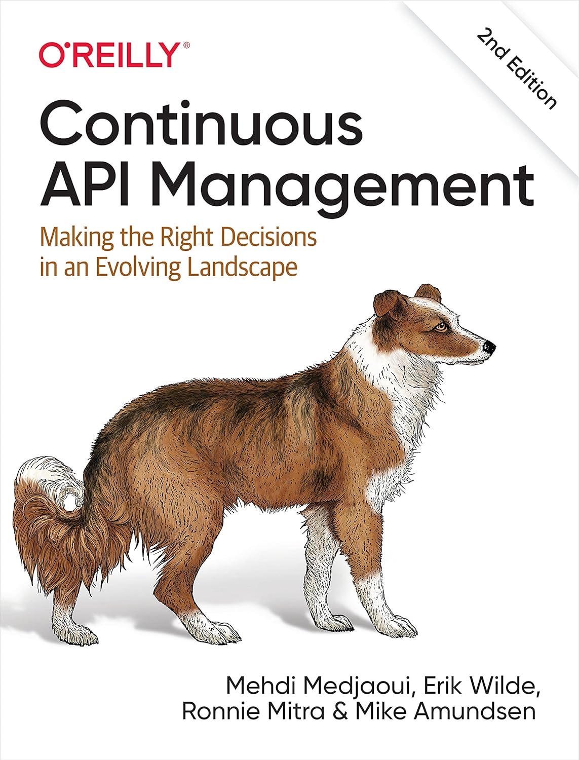 Continuous API Management: Making the Right Decisions in an Evolving Landscape 2nd Edition