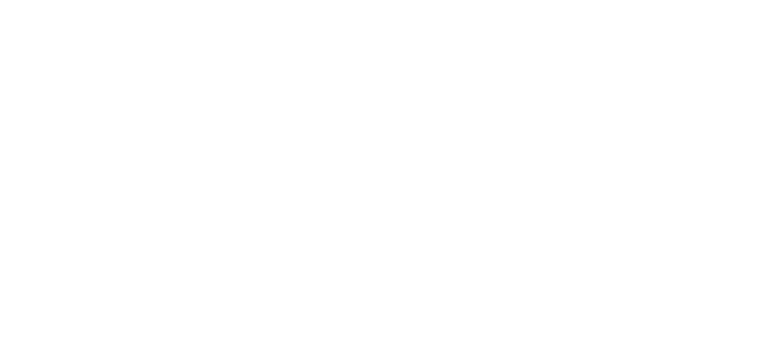 coder-light