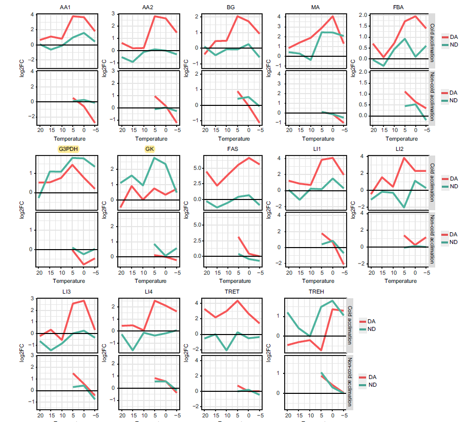 Expression profile of transcripts