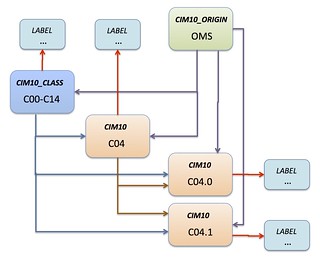 neo4j-cim10