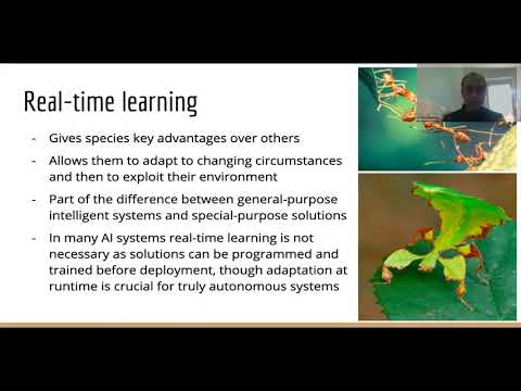 Autonomy through real-time learning and OpenNARS for Applications