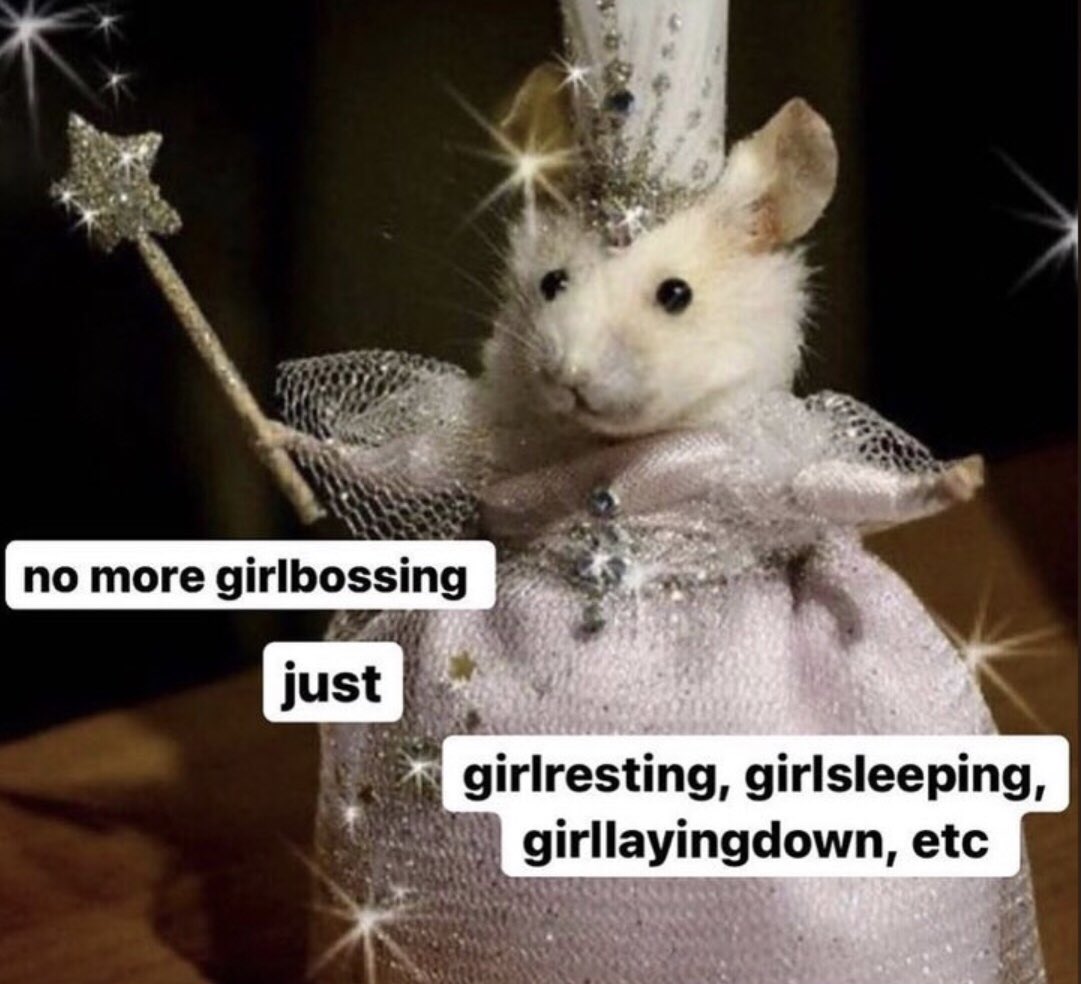 a no girlbossing fairy mouse