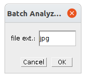 batch_options.png