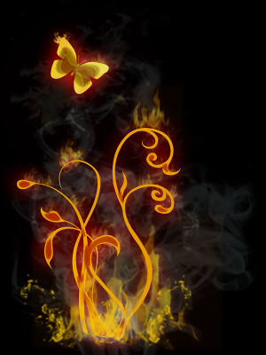 Flaming Butterfly and Flowers