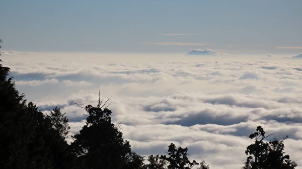 组图：台阿里山见枫红 摄影师分享自然美景