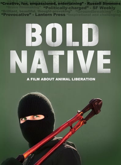 bold-native-1772582-1