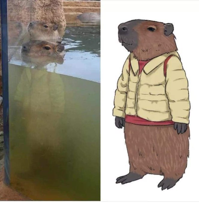 capybara