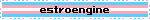 estroengine