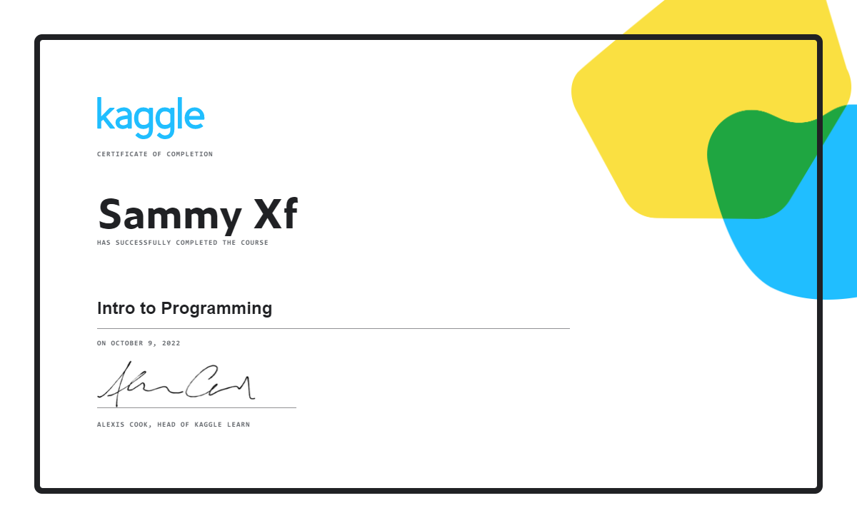 kaggle basic programing certificate