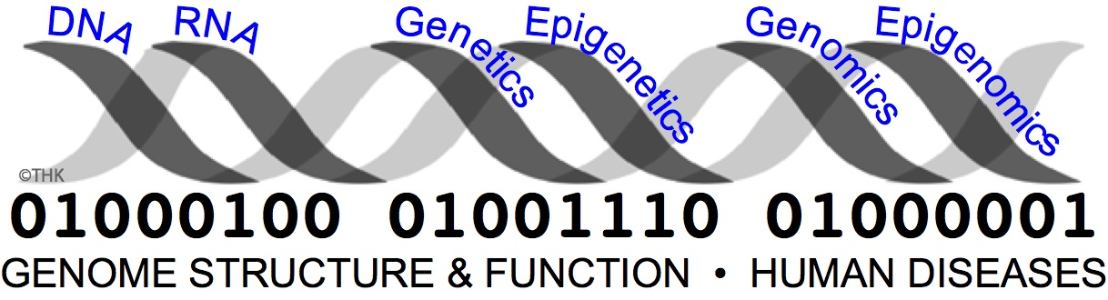 DNA-logo.png