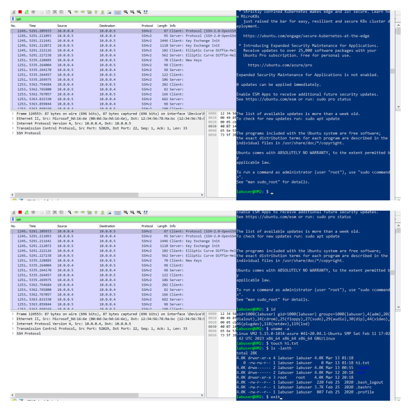 Disk Sanitization Steps