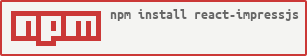 NPM install